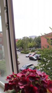 Udsigt tæt